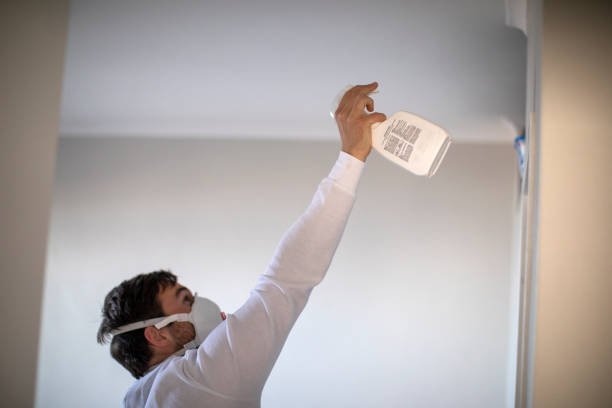 Best Same-Day Mold Removal  in Wyoming, MN