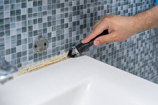 Best Home Mold Removal  in Wyoming, MN