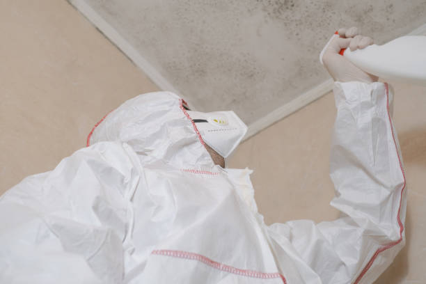 Water Damage Restoration in Wyoming, MN